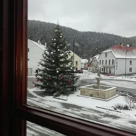 Hotel U Martina - Kocábka 3*